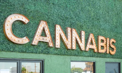 Cannabis Dispensary Security