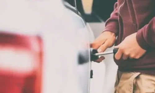 Vehicle Theft Example - Thumb