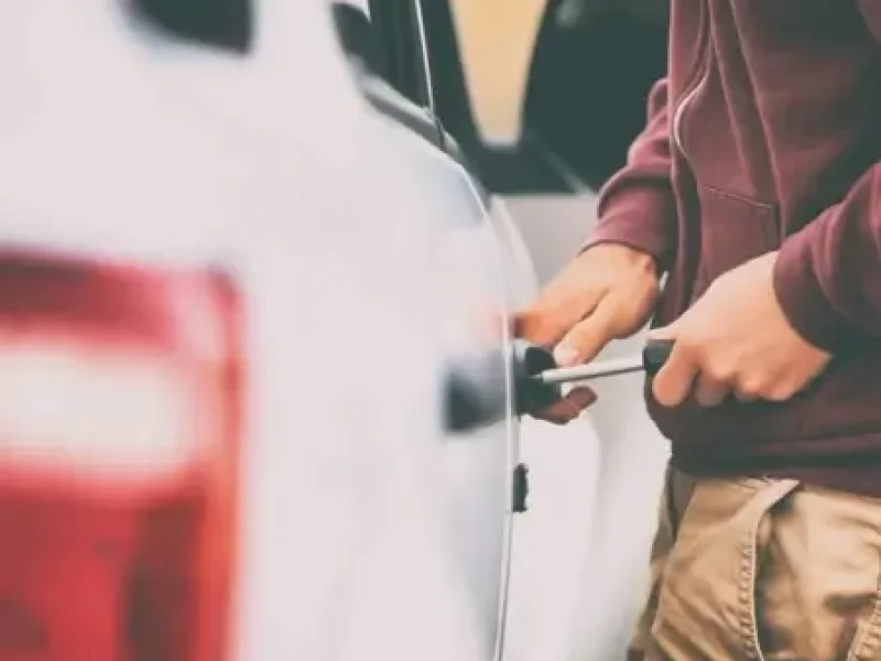 Vehicle Theft Example - Thumb