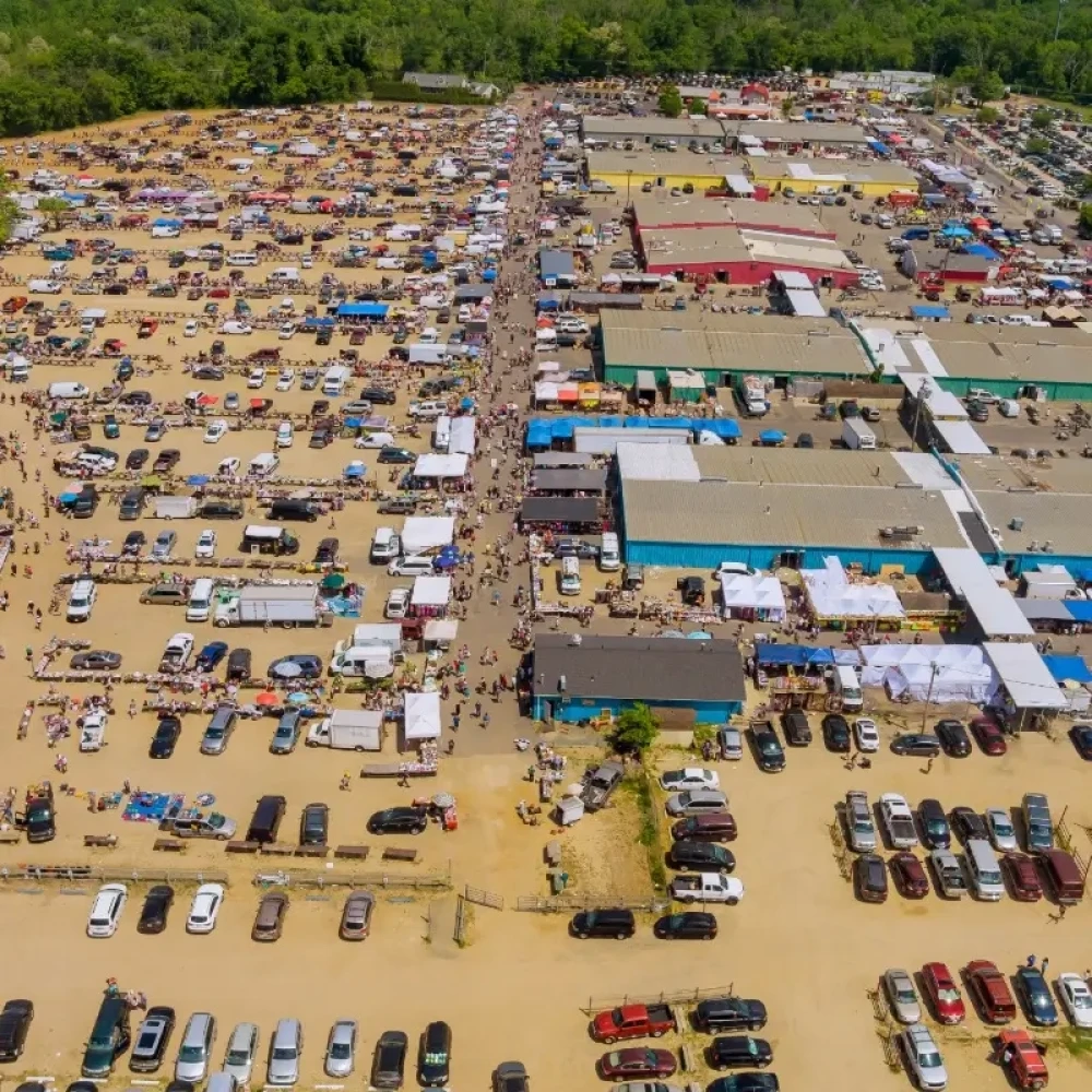 Outdoor Auction House